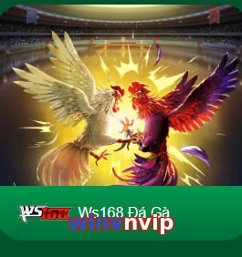 winvnvip