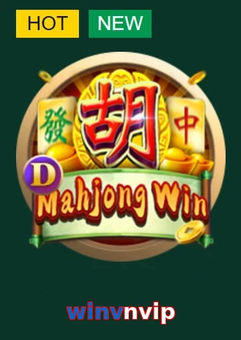 winvnvip
