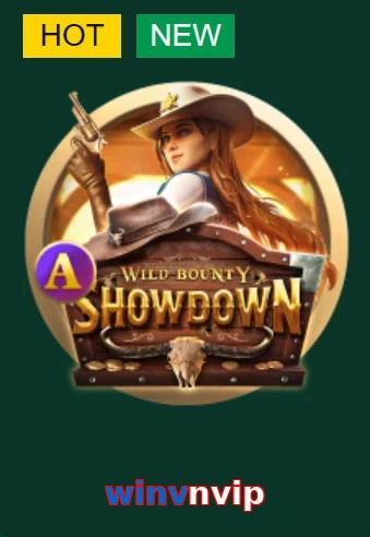 winvnvip