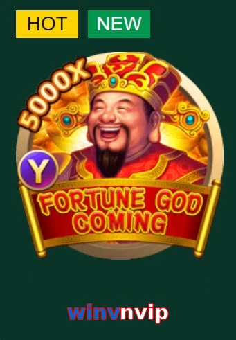 winvnvip