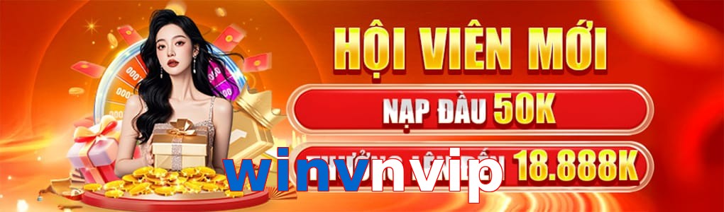 winvnvip