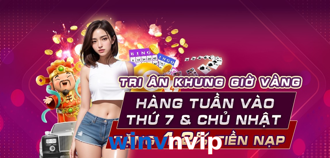 winvnvip