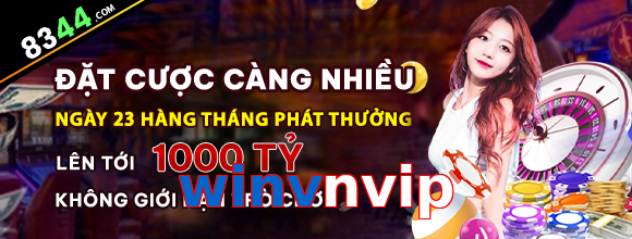 winvnvip