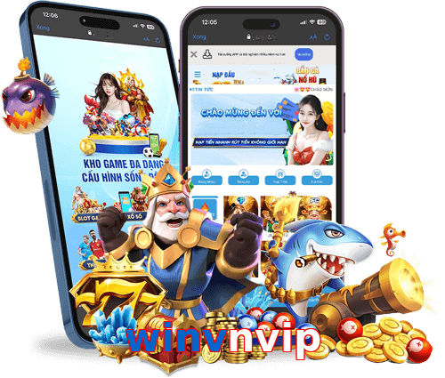 winvnvip