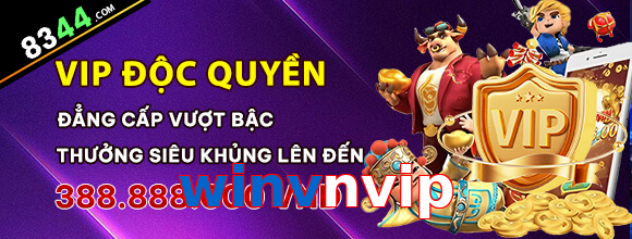 winvnvip