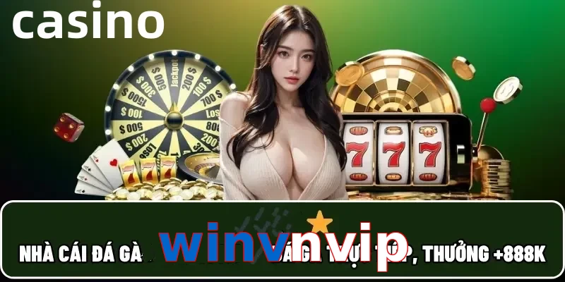 winvnvip