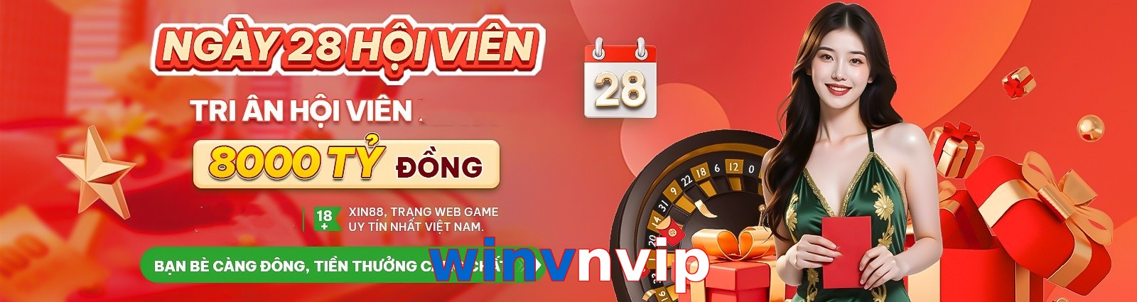 winvnvip